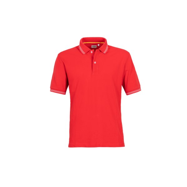 BAY POLO-SHIRT - Image 7